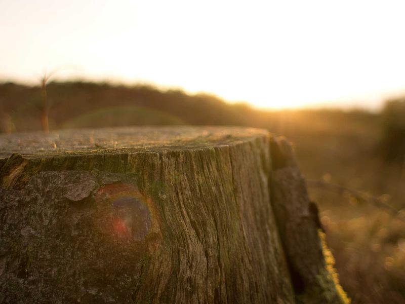 Equipo NorinUlricPavero